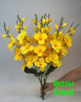 Новый год