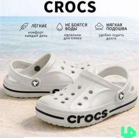 Сланцы
