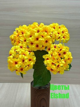 Новый год
