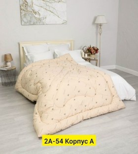 Одежда