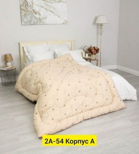 Одежда