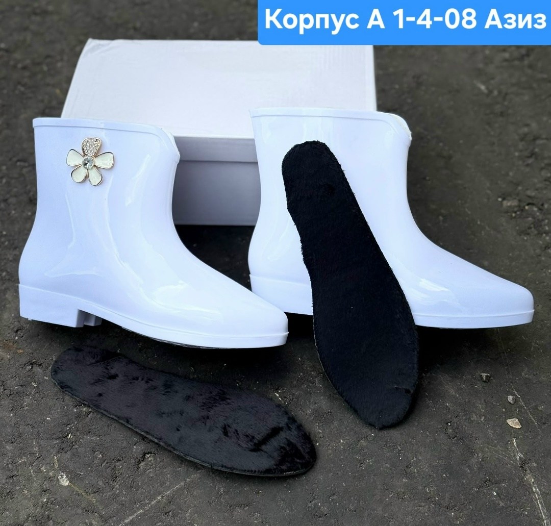 резиновые сапоги,женские резиновые сапоги,резиновые сапоги кеддо женские,резиновые сапоги женские короткие,сапожки резиновые
