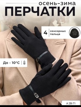 Одежда