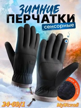 Одежда