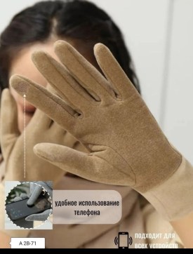 Одежда