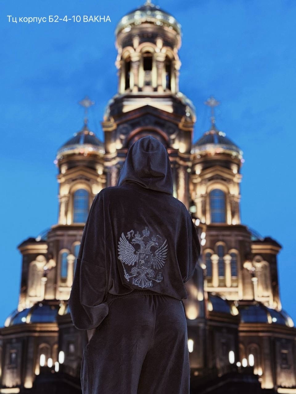 толстовка,толстовка с капюшоном,человек,костюм,худи с гербом