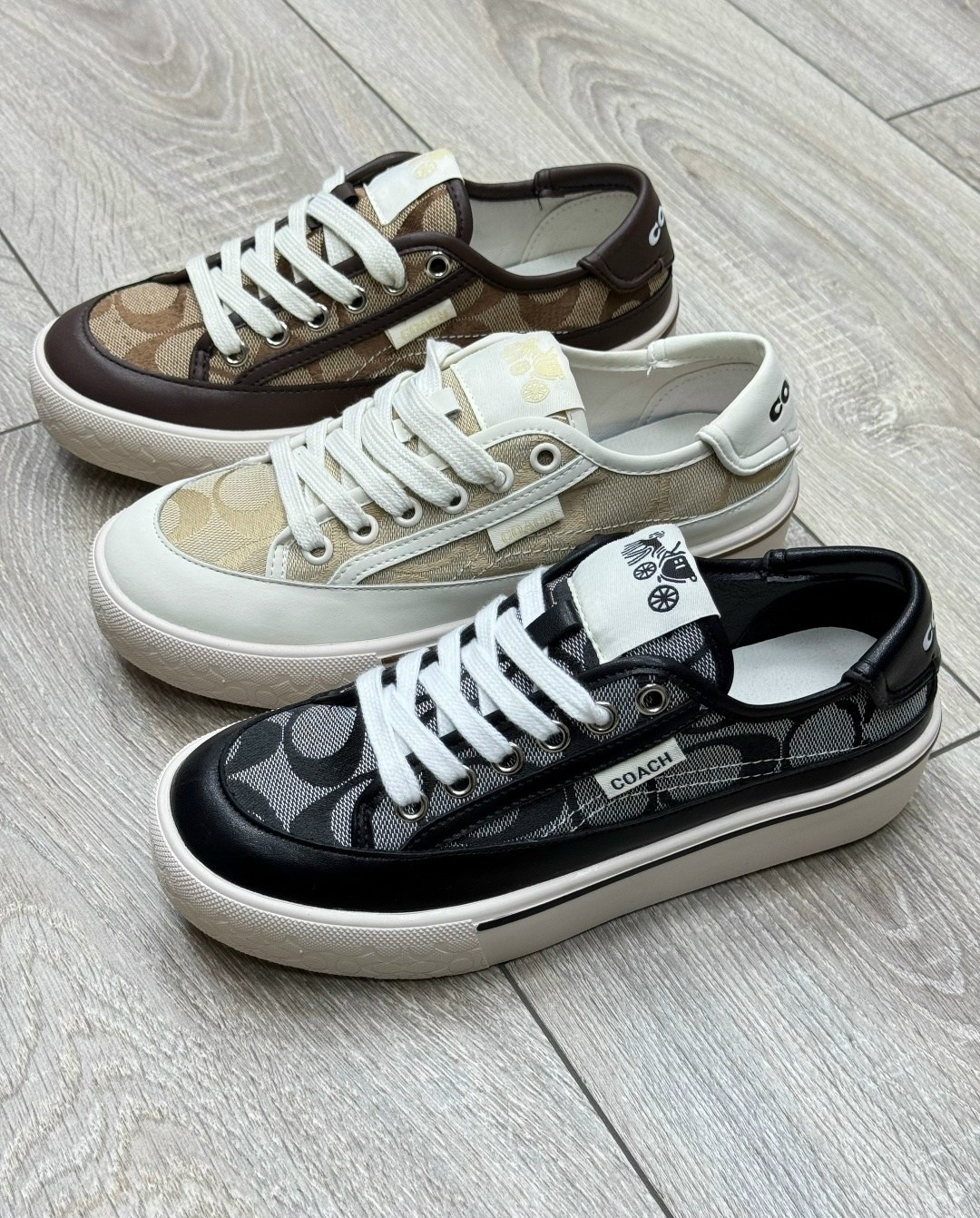 кеды coach женские,,коач кеды,кроссовки coach,кеды женски