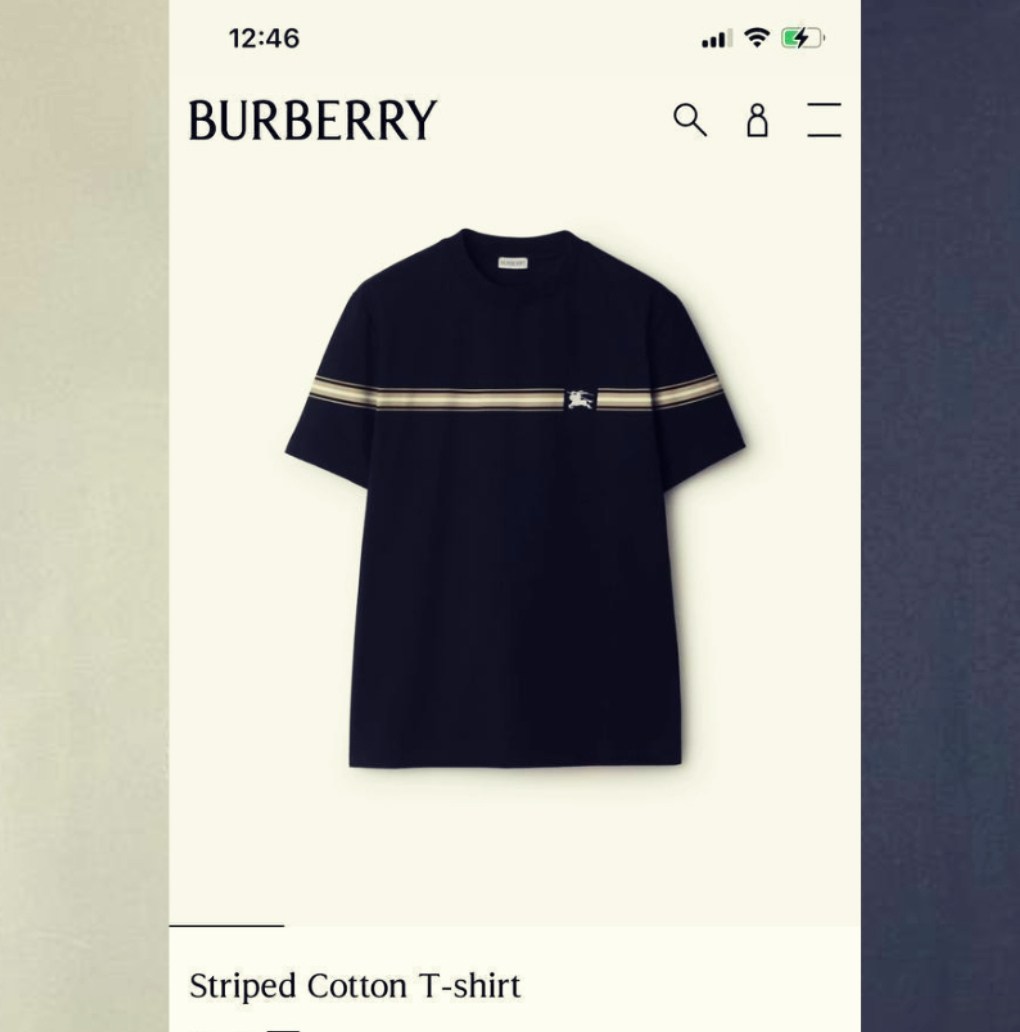 пакет поло ральф лорен,поло логотип,футболка burberry,ralph lauren polo