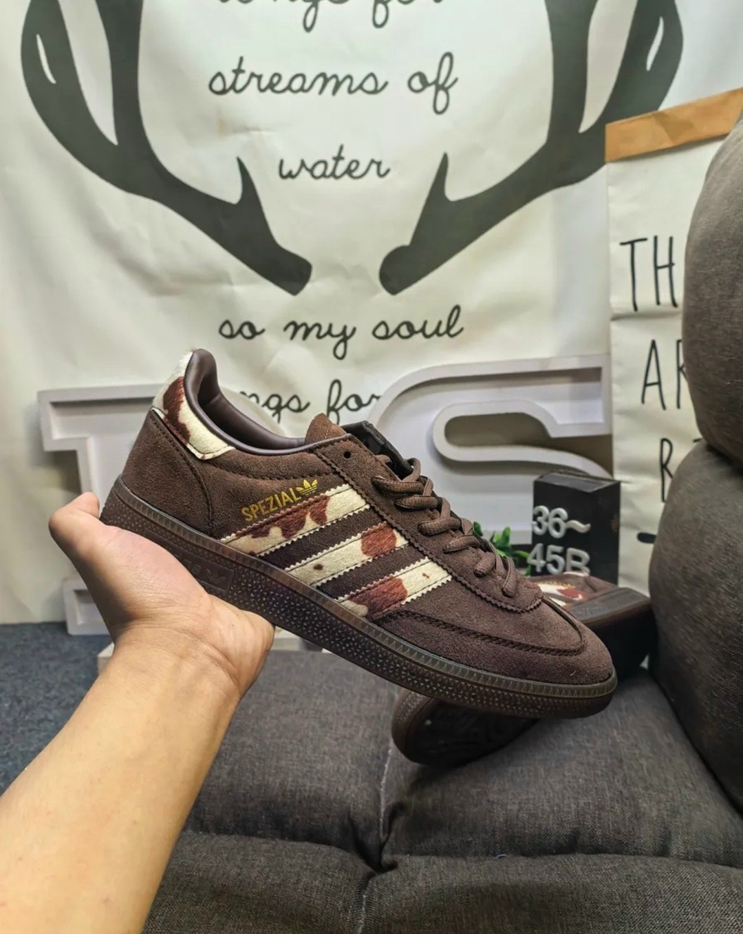 ,кроссовки adidas spezial,замшевые кроссовки,обуви,женские кроссовки