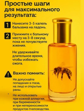 Одежда