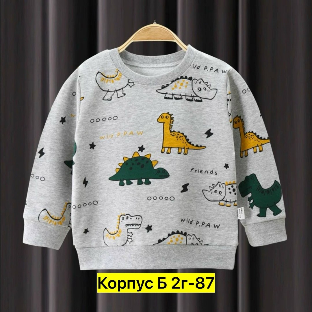 свитшот для ребенка,толстовка для малыша,свитшот кофта для ребенка,cвитшот для мальчика,детский свитшот с длинными рукавами