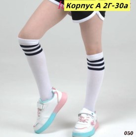 Одежда