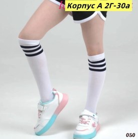 Одежда