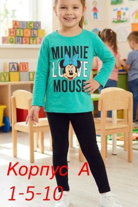 Свитшот