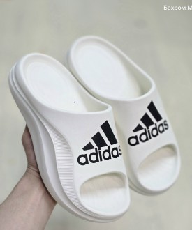 Сланцы