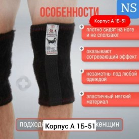 Одежда