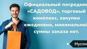 Одежда