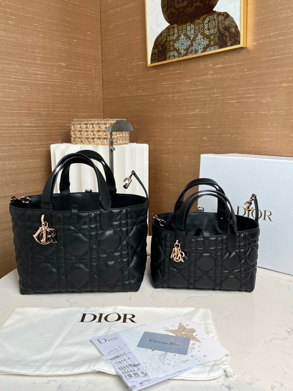 dior сумка,женская сумка dior,сумка dior большая,сумка женская christian dior,cумка christian dior