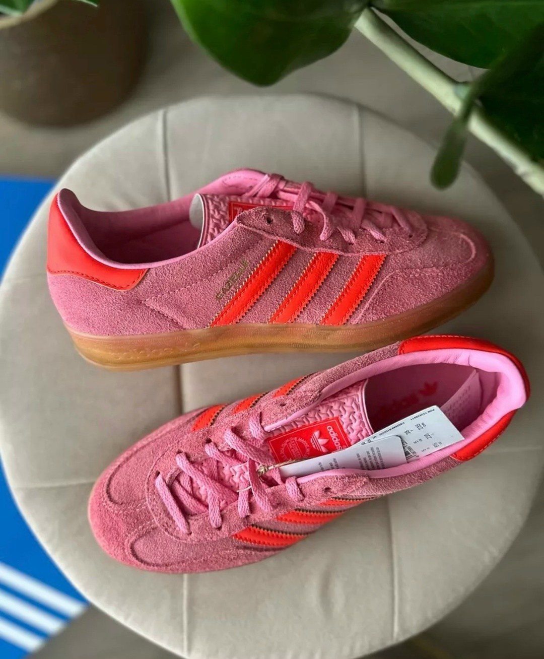 кроссовки adida gazelle,женские кроссовки adidas gazelle,adidas gazelle indoor bliss pink,кроссовки adidas gazelle indoor,кроссовки gazelle adidas