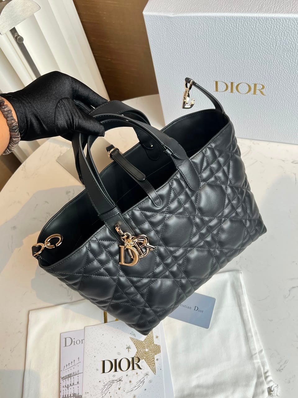 dior сумка,женская сумка dior,сумка dior большая,сумка женская christian dior,cумка christian dior
