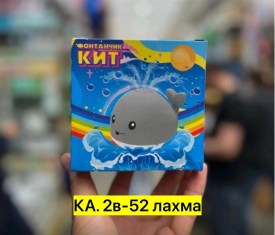 Одежда