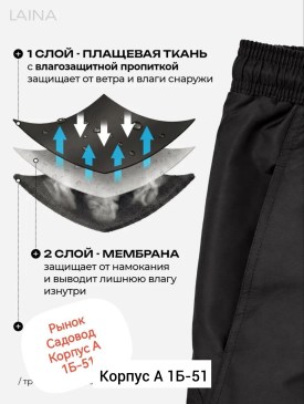 Шорты