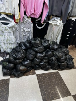 Одежда