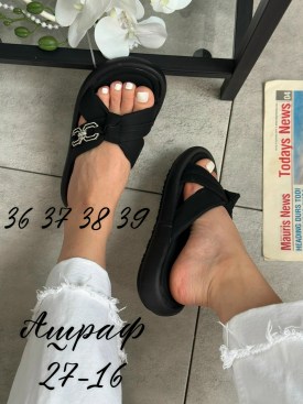 Сланцы