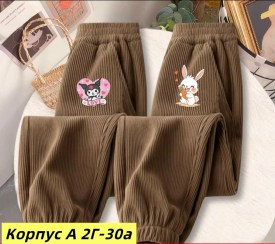 Штаны