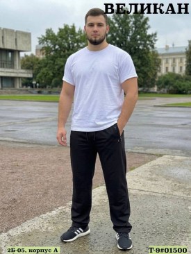 Брюки