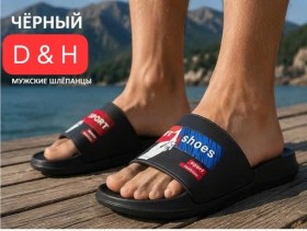 Сланцы