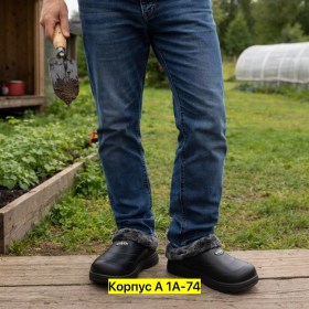 Одежда
