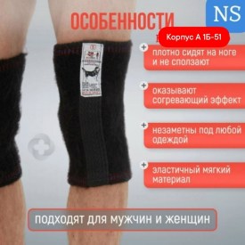 Одежда