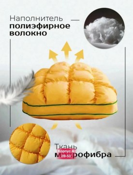 Одежда