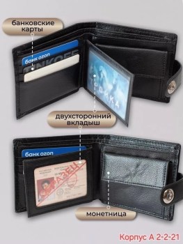 Одежда