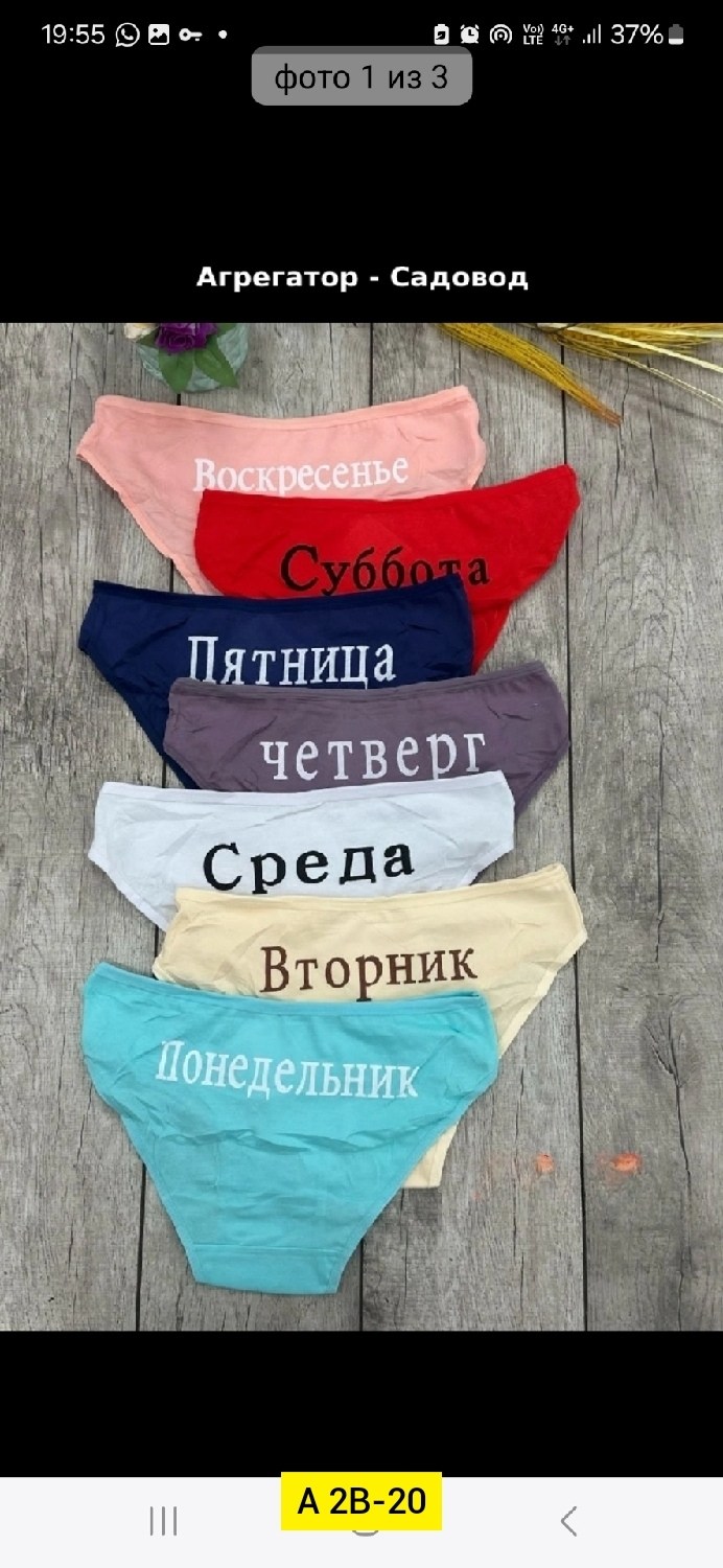 трусы неделька 7 штук begain store,трусы женские неделька,трусы женские 7шт разного цвета,трусы женские 7 шт разного цвета,трусы женские 7 шт