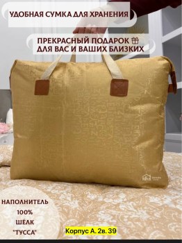 Одежда