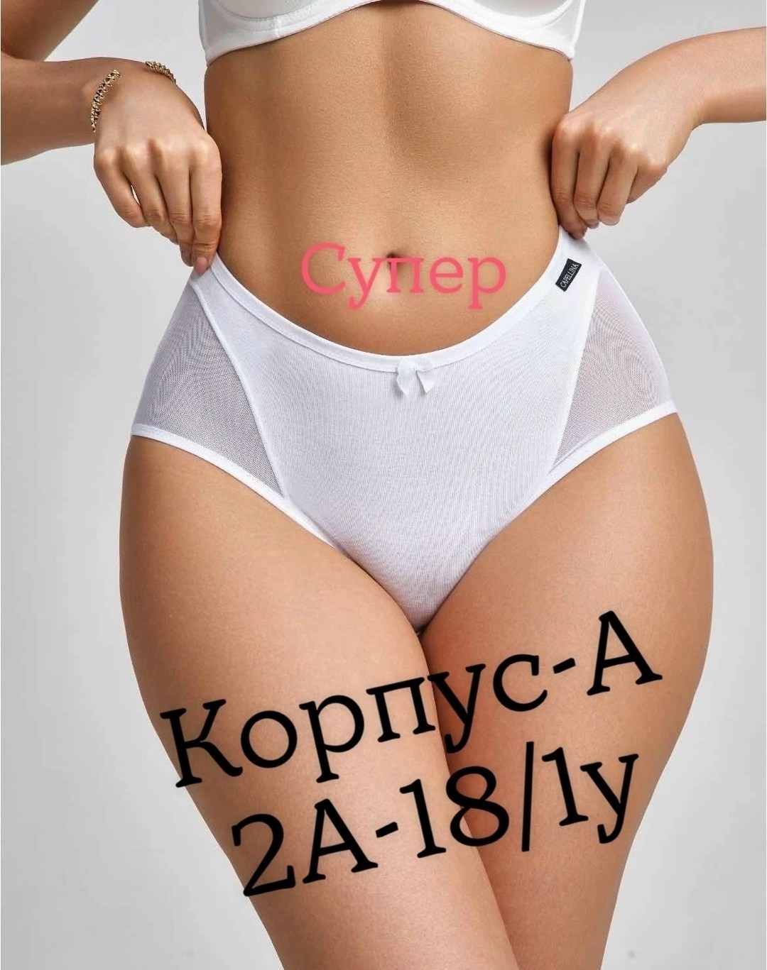 трусы слипы бежевые женские,женская трусы,слипы трусы женские,трусы для женщин,комплект трусов женские