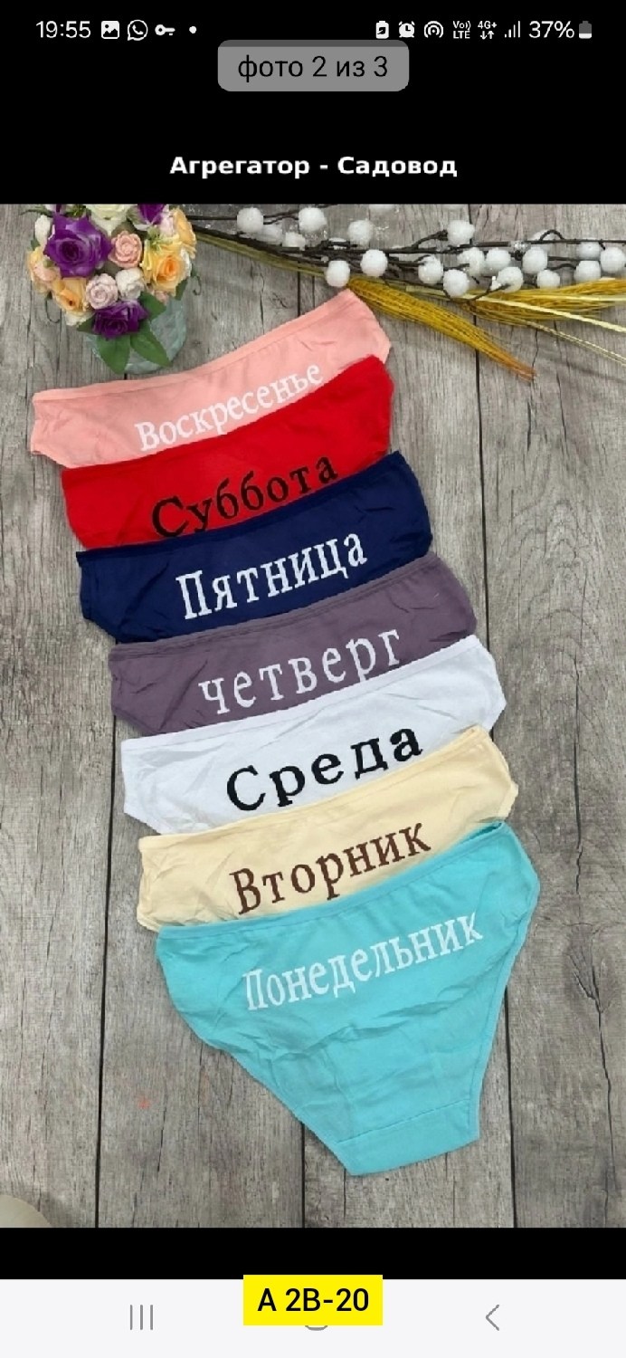 трусы неделька 7 штук begain store,трусы женские неделька,трусы женские 7шт разного цвета,трусы женские 7 шт разного цвета,трусы женские 7 шт