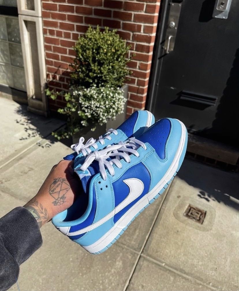 nike dunk low retro qs,nike dunk low,nike dunk low argon,nike dunk low retro,nike dunk blue