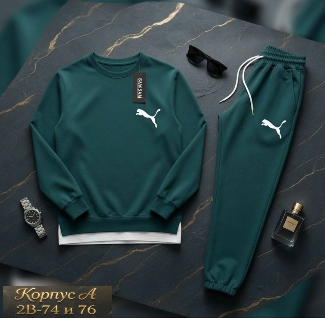 костюм спортивный мужской,костюм спортивный мужской puma,костюм мужской,спортивный костюм,мужские спортивные костюмы 2026