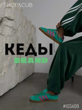 Одежда