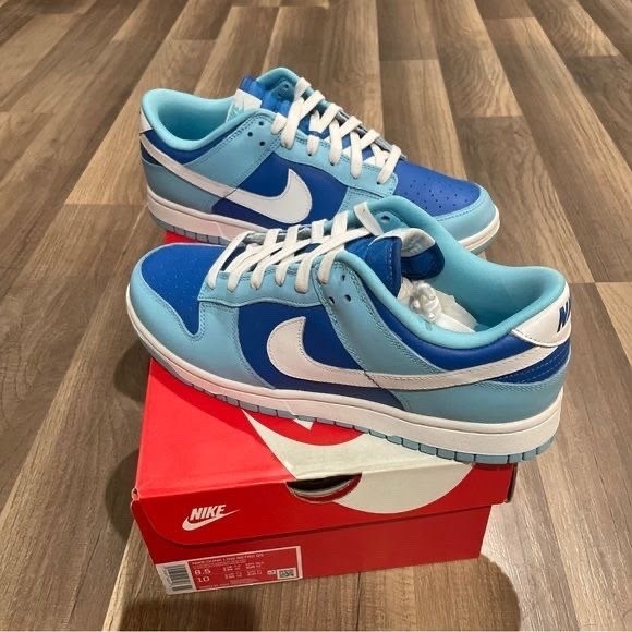 nike dunk low retro qs,nike dunk low,nike dunk low argon,nike dunk low retro,nike dunk blue
