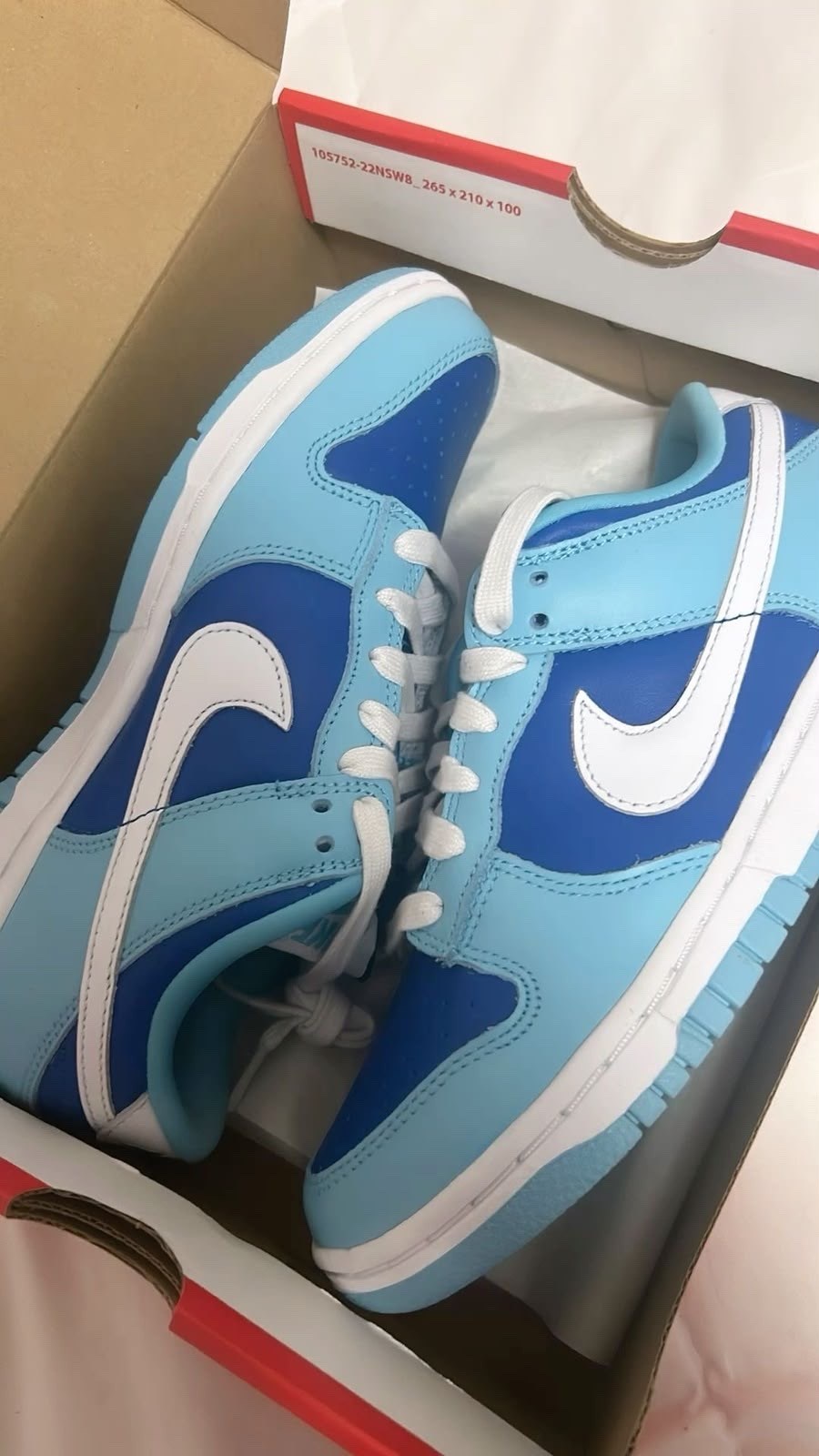 nike dunk low retro qs,nike dunk low,nike dunk low argon,nike dunk low retro,nike dunk blue