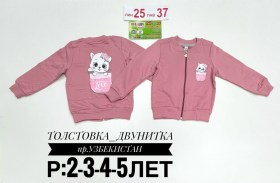 Толстовка