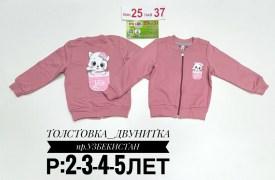 Толстовка