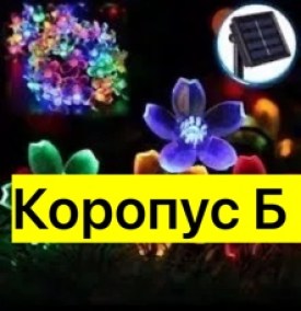 Одежда