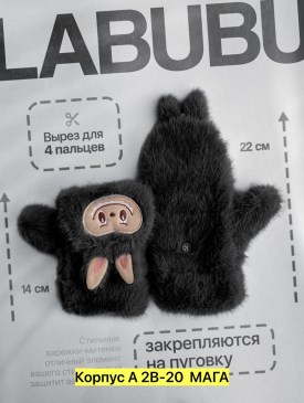 Одежда