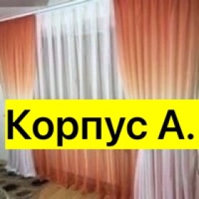 Одежда