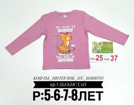 Толстовка
